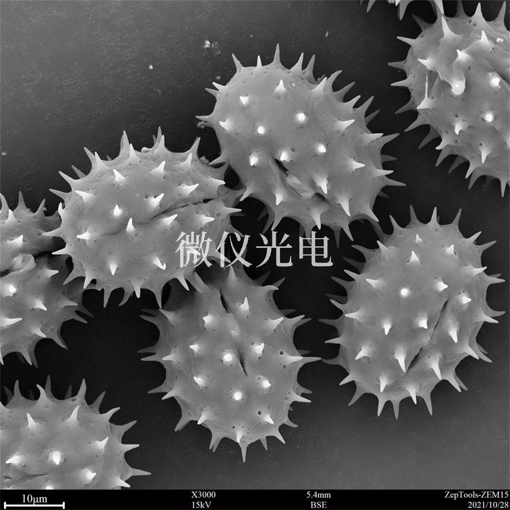 掃描電鏡測樣，要注意什么？