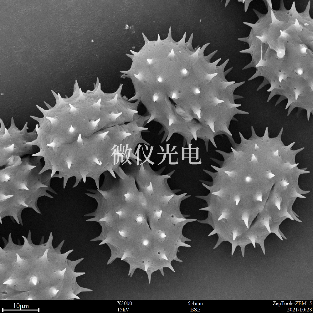 sem掃描電鏡的原理、組成、基本參數(shù)和應(yīng)用的介紹